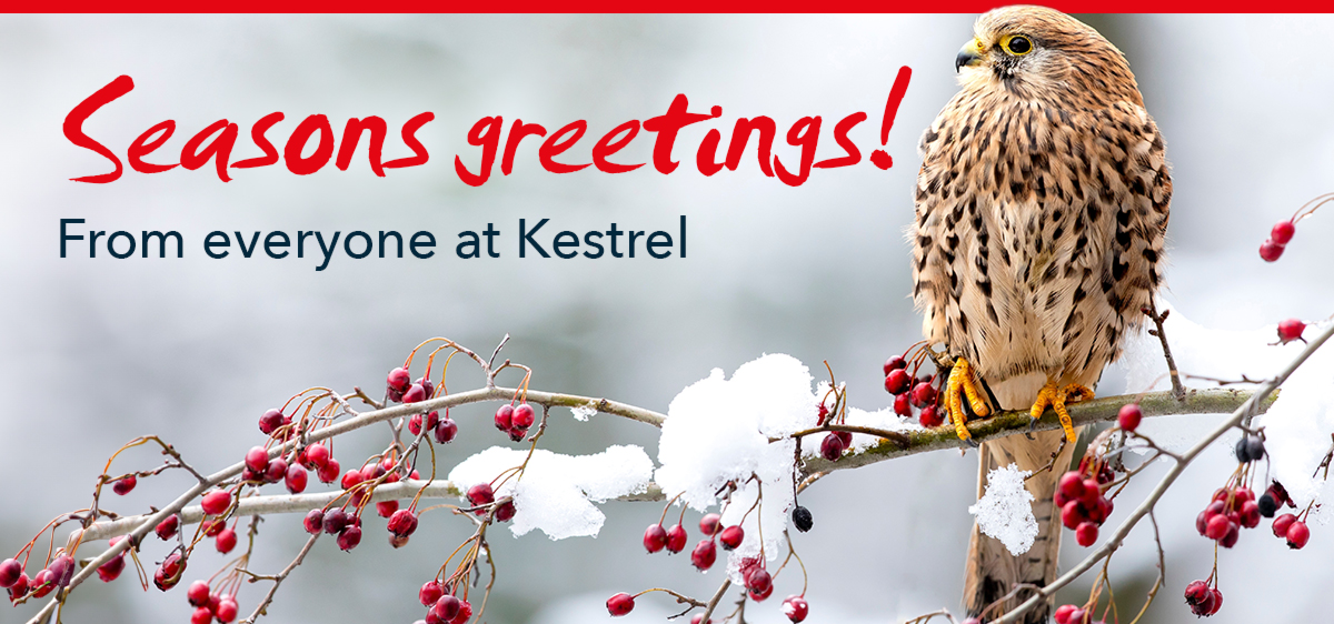 Seasons greetings from everyone at Kestrel